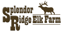 Splendor Ridge Elk Farm
